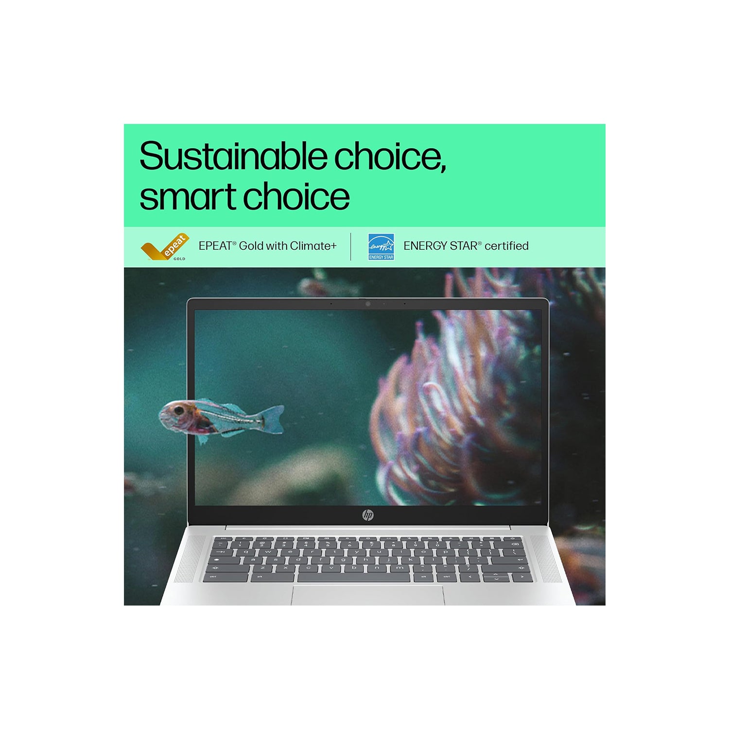 HP Intel Core N N100 - (4 GB/64 GB EMMC Storage/Chrome OS) 14a-nf0014TU Chromebook  (14 Inch, Glacier Silver, 1.45 Kg)